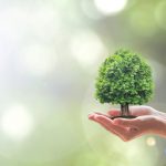 Tu b'Shevat at Urfer Park